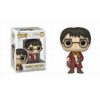FUNKO POP! MOVIES: HARRY POTTER CHAMBER OF SECRETS ANNIVERSARY 20TH - HARRY POTTER #149 VINYL FIGURE